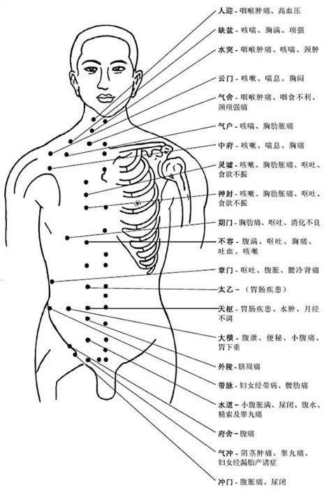 人身穴位圖 攀藤植物